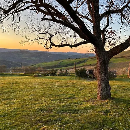 Casale Meraviglioso Val D'orcia Con Piscina Villa